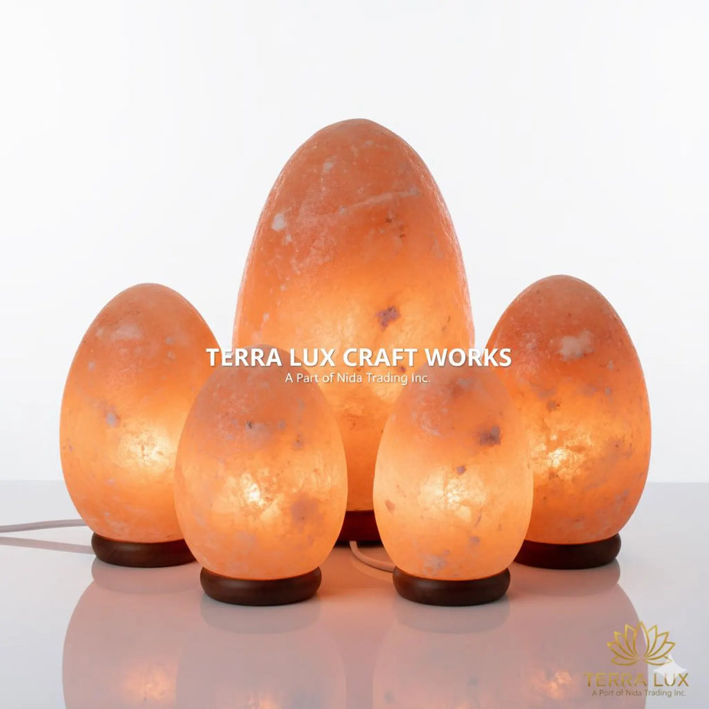 Egg Himalayan Salt Lamp - Air Purifier- Home Decor - Handcrafted Egg Shape - Gift