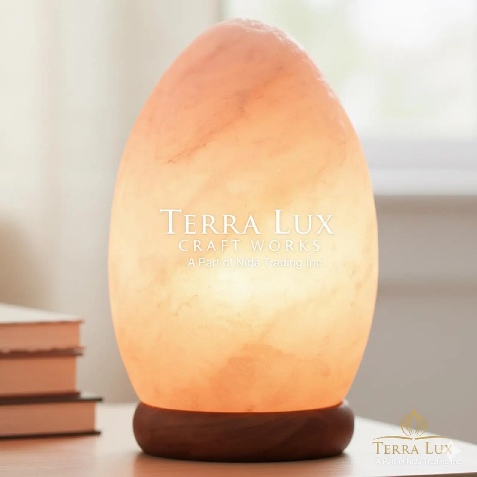 Egg Himalayan Salt Lamp - Air Purifier- Home Decor - Handcrafted Egg Shape - Gift