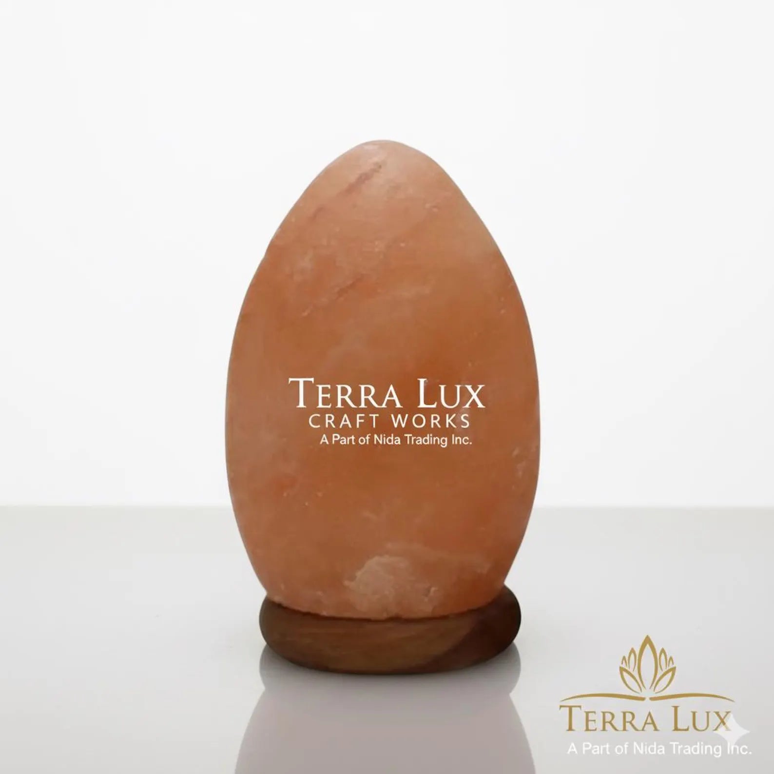 Egg Himalayan Salt Lamp - Air Purifier- Home Decor - Handcrafted Egg Shape - Gift