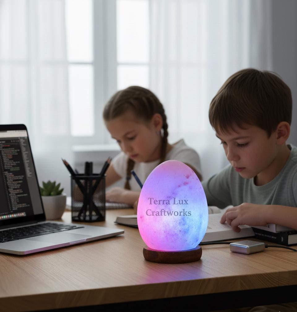 USB Himalayan Salt Egg Lamp, Pink Crystal Night Light, Bedside Desk Decor, Gift